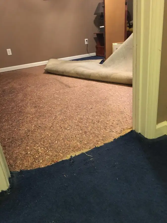 Carpet pad removal revealing water damage during Water Mitigation Services in Red Lion