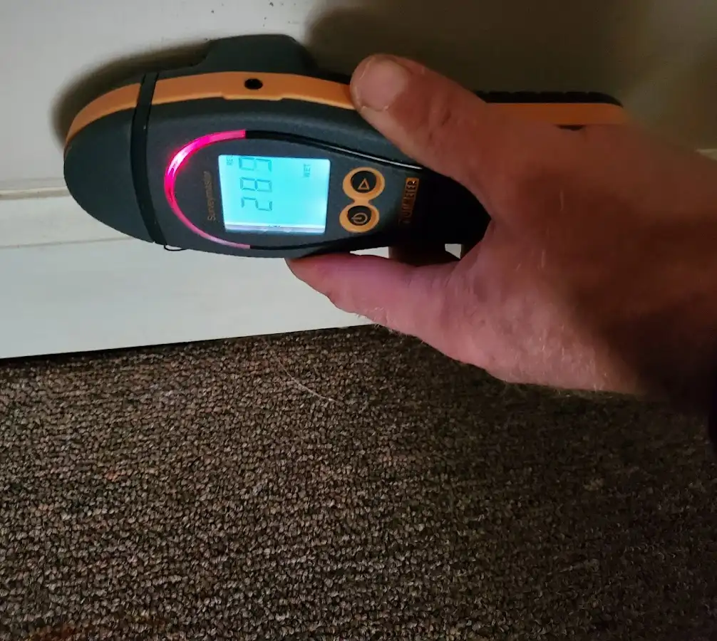Moisture detection at baseboard during Sewage Cleanup & Sanitation in Red Lion